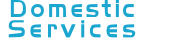 Domestic Services